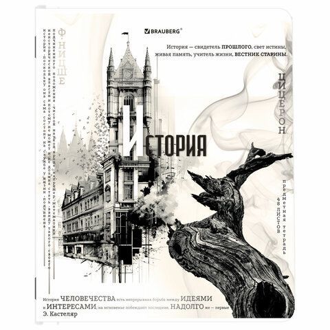 Тетради предметные, КОМПЛЕКТ 12 ПРЕДМЕТОВ, &quot;BLACK&amp;WHITE&quot;, 48 л., матовая ламинация, BRAUBERG, 404835