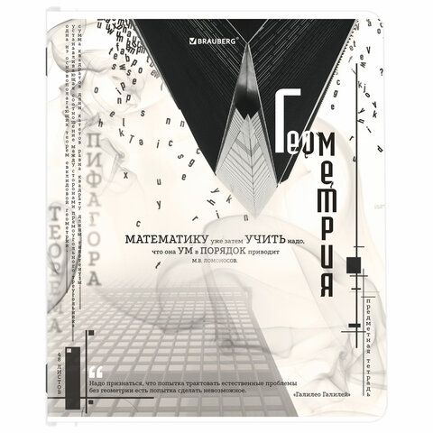 Тетради предметные, КОМПЛЕКТ 12 ПРЕДМЕТОВ, &quot;BLACK&amp;WHITE&quot;, 48 л., матовая ламинация, BRAUBERG, 404835