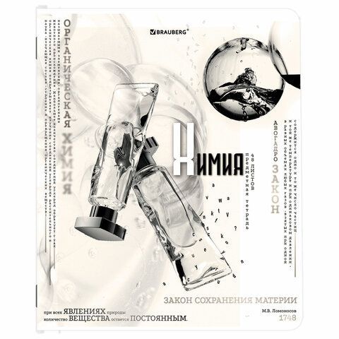 Тетради предметные, КОМПЛЕКТ 12 ПРЕДМЕТОВ, &quot;BLACK&amp;WHITE&quot;, 48 л., матовая ламинация, BRAUBERG, 404835