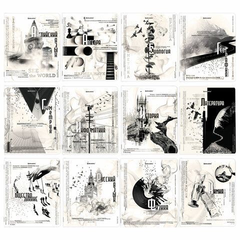 Тетради предметные, КОМПЛЕКТ 12 ПРЕДМЕТОВ, &quot;BLACK&amp;WHITE&quot;, 48 л., матовая ламинация, BRAUBERG, 404835