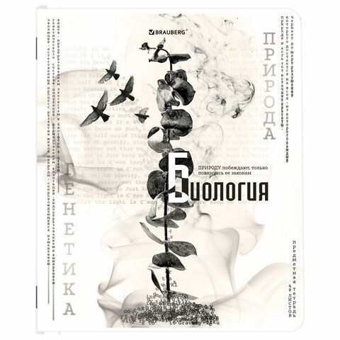 Тетради предметные, КОМПЛЕКТ 12 ПРЕДМЕТОВ, &quot;BLACK&amp;WHITE&quot;, 48 л., матовая ламинация, BRAUBERG, 404835