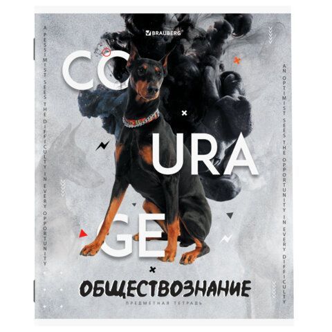 Тетради предметные, КОМПЛЕКТ 10 ПРЕДМЕТОВ, &quot;SPORT CLUB&quot;, 48 л., обложка картон, BRAUBERG, 404841