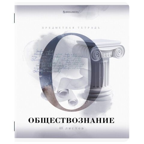 Тетради предметные, КОМПЛЕКТ 12 ПРЕДМЕТОВ, &quot;CALM&quot;, 48 л., матовая ламинация, лак, BRAUBERG, 404844