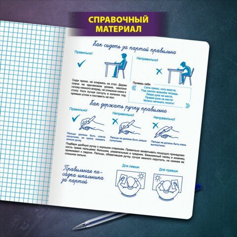 Тетрадь УЧУСЬ ПИСАТЬ №6 12 л. клетка, со справочным материалом, обложка картон, ЮНЛАНДИЯ 20 шт., 404849