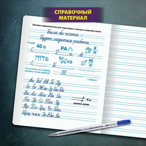 Тетрадь УЧУСЬ ПИСАТЬ №5 12л. узкая линия, со справочным материалом, обложка картон, ЮНЛАНДИЯ 20 шт., 404850