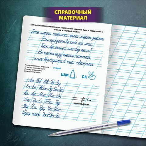 Тетрадь УЧУСЬ ПИСАТЬ №4 12л. косая линия, со справочным материалом, обложка картон, ЮНЛАНДИЯ 20 шт., 404851