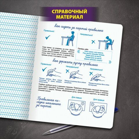 Тетрадь УЧУСЬ ПИСАТЬ №2 12л. частая косая линия, со справочным материалом, ЮНЛАНДИЯ 20 шт., 404852