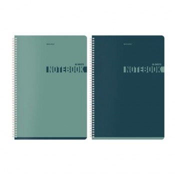 Тетради ДЭК А4 96 л. КОМПЛЕКТ 2 шт. BRAUBERG гребень, клетка, матовая ламинация, "NoteColor", 404872