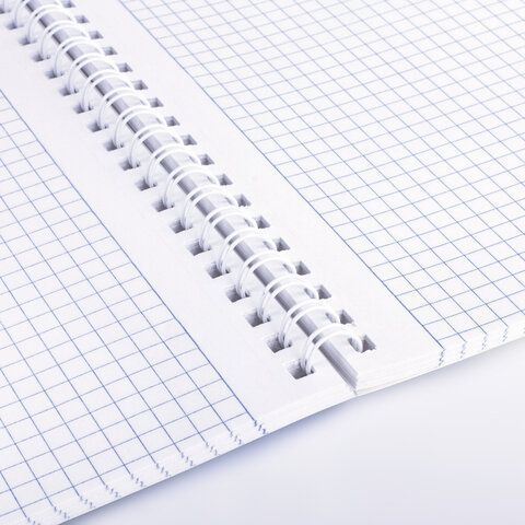 Тетради ДЭК А4 96 л. КОМПЛЕКТ 2 шт. BRAUBERG гребень, клетка, SoftTouch, "Peaceful", 404875