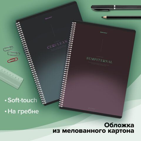 Тетради ДЭК А4 96 л. КОМПЛЕКТ 2 шт. BRAUBERG гребень, клетка, SoftTouch, "Peaceful", 404875