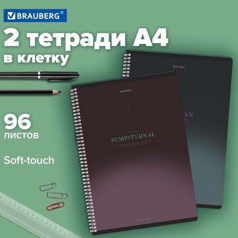 Тетради ДЭК А4 96 л. КОМПЛЕКТ 2 шт. BRAUBERG гребень, клетка, SoftTouch, "Peaceful", 404875