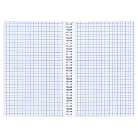 Тетради ДЭК А4 96 л. КОМПЛЕКТ 2 шт. BRAUBERG гребень, клетка, SoftTouch, "Peaceful", 404875