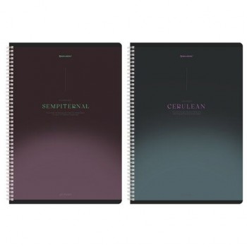 Тетради ДЭК А4 96 л. КОМПЛЕКТ 2 шт. BRAUBERG гребень, клетка, SoftTouch, "Peaceful", 404875