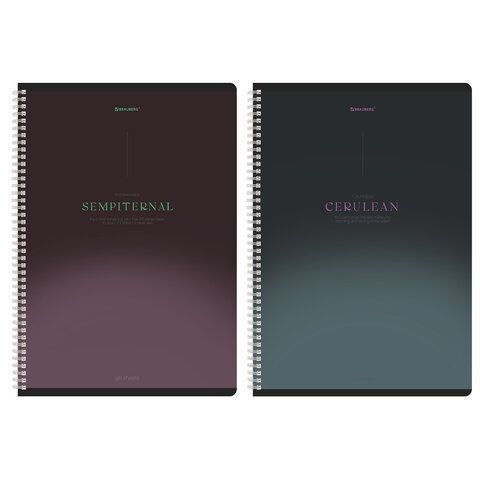 Тетради ДЭК А4 96 л. КОМПЛЕКТ 2 шт. BRAUBERG гребень, клетка, SoftTouch, "Peaceful", 404875