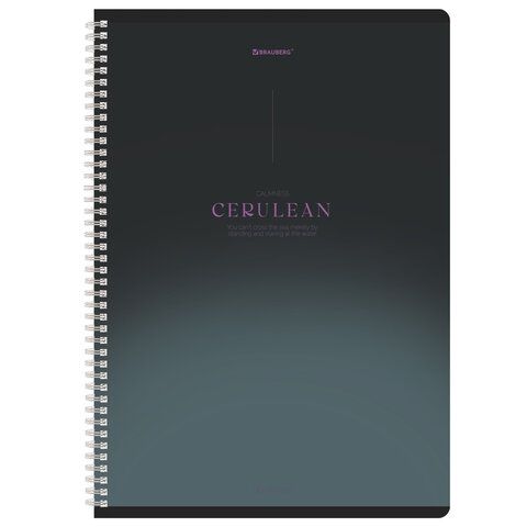 Тетради ДЭК А4 96 л. КОМПЛЕКТ 2 шт. BRAUBERG гребень, клетка, SoftTouch, "Peaceful", 404875