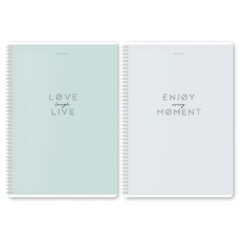 Тетради ДЭК А4 96 л. КОМПЛЕКТ 2 шт. BRAUBERG гребень, клетка, матовая ламинация, "Пастель_2", 404884