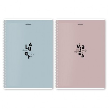 Тетради ДЭК А4 96 л. КОМПЛЕКТ 2 шт. BRAUBERG гребень, клетка, матовая ламинация, "Пастель_3", 404885