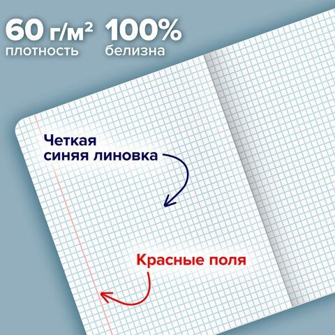 Тетради ДЭК А5 48 л. КОМПЛЕКТ 5 шт. BRAUBERG скоба, клетка, SoftTouch, "Vintage", 404909