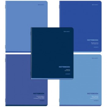 Тетради ДЭК А5 48 л. КОМПЛЕКТ 5 шт. BRAUBERG, скоба, клетка, SoftTouch, "КЛАССИКА BLUE", 404913