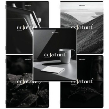 Тетради ДЭК А5 48 л. КОМПЛЕКТ 5 шт. BRAUBERG, скоба, клетка, глянцевый лак, "ELEGANT", 404918