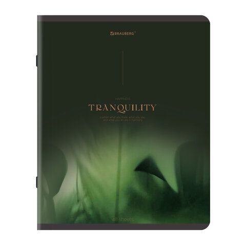 Тетради ДЭК А5 48 л. КОМПЛЕКТ 5 шт. BRAUBERG скоба, клетка, SoftTouch, "Peaceful", 404926