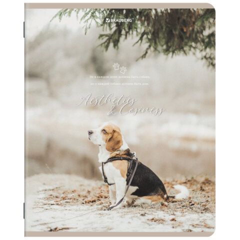 Тетради ДЭК А5 48 л. КОМПЛЕКТ 5 шт. BRAUBERG, скоба, клетка, SoftTouch, "ESTHETICS", 404929