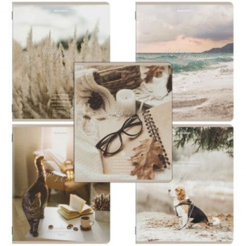 Тетради ДЭК А5 48 л. КОМПЛЕКТ 5 шт. BRAUBERG, скоба, клетка, SoftTouch, "ESTHETICS", 404929