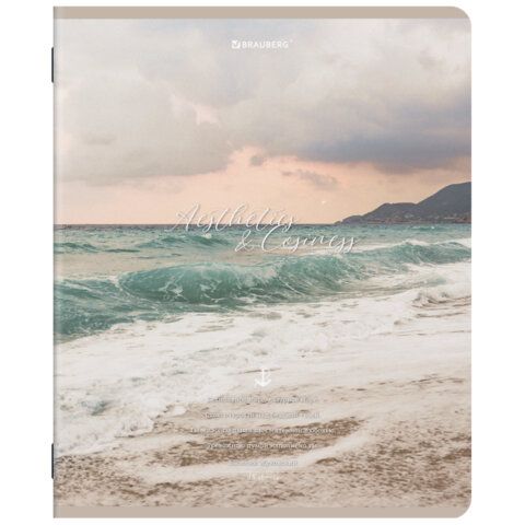 Тетради ДЭК А5 48 л. КОМПЛЕКТ 5 шт. BRAUBERG, скоба, клетка, SoftTouch, "ESTHETICS", 404929