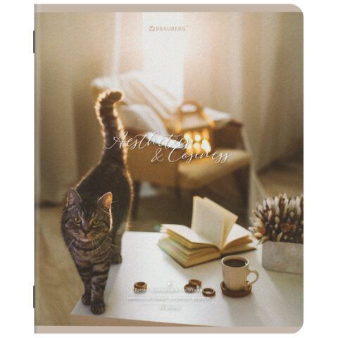 Тетради ДЭК А5 48 л. КОМПЛЕКТ 5 шт. BRAUBERG, скоба, клетка, SoftTouch, "ESTHETICS", 404929