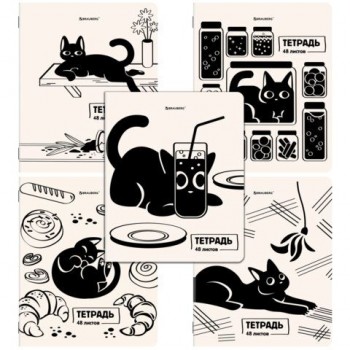 Тетради ДЭК А5 48 л. КОМПЛЕКТ 5 шт. BRAUBERG, скоба, клетка, TWIN-лак, "КОТ-НЕПОСЕДА", 404943