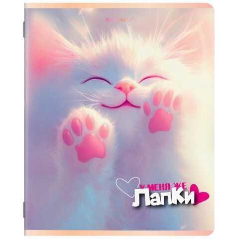 Тетради ДЭК А5 48 л. КОМПЛЕКТ 5 шт. BRAUBERG, скоба, клетка, SoftTouch, "ЛАПКИ", 404946