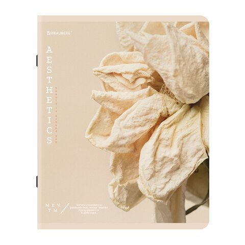 Тетради ДЭК А5 48 л. КОМПЛЕКТ 5 шт. BRAUBERG скоба, клетка, SoftTouch, "Пастельная", 404948