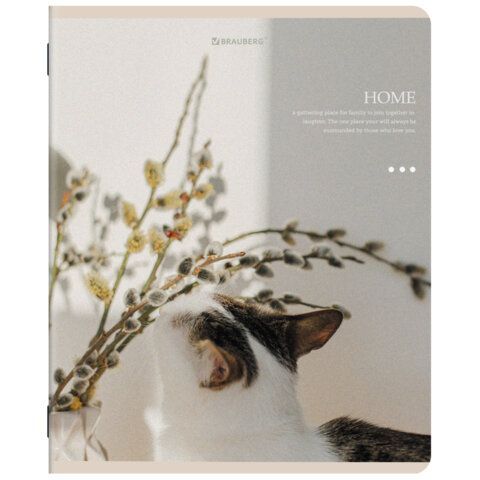 Тетради ДЭК А5 48 л. КОМПЛЕКТ 5 шт. BRAUBERG, скоба, клетка, SoftTouch, "ЭСТЕТИКА", 404949