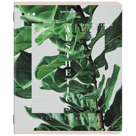 Тетради ДЭК А5 48 л. КОМПЛЕКТ 5 шт. BRAUBERG, скоба, клетка, SoftTouch, "ЭСТЕТИКА", 404949