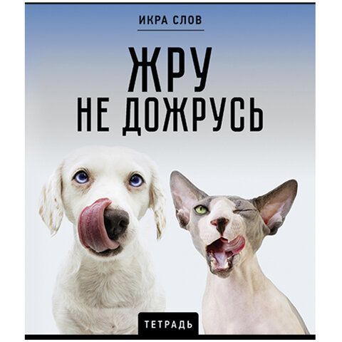 Тетрадь А5 48л. ПЗБМ 10 шт. скоба, клетка, конгрев, TWIN лак, Икра слов, (5 видов), 27377