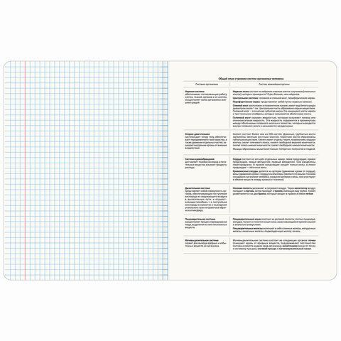 Тетрадь предметная ДАТЫ 48л, TWIN-лак, БИОЛОГИЯ, клетка, подсказ, BRAUBERG 10 шт., 405125