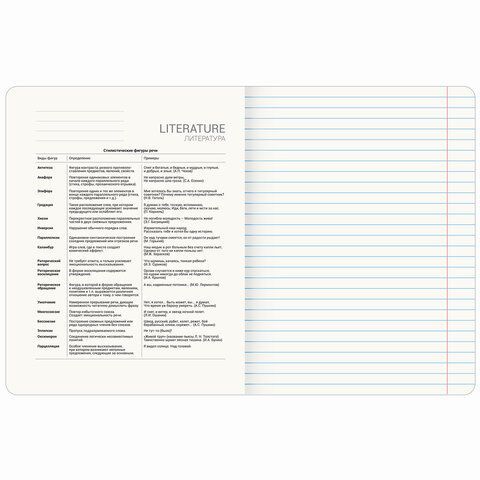 Тетрадь предметная ДАТЫ 48л, TWIN-лак, ЛИТЕРАТУРА, линия, подсказ, BRAUBERG 10 шт., 405130