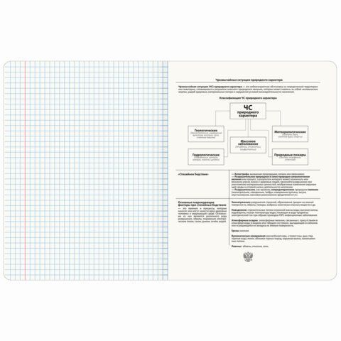 Тетрадь предметная ДАТЫ 48л, TWIN-лак, ОБиЗР, клетка, подсказ, BRAUBERG 10 шт., 405134