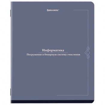 Тетрадь предметная VINTAGE 48л, SoftTouch, ИНФОРМАТИКА, клетка, подсказ, BRAUBERG 10 шт., 405154