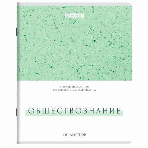 Тетради предметные, КОМПЛЕКТ 12 ПРЕДМЕТОВ, 48л, обложка картон, BRAUBERG, HARMONY, 405167