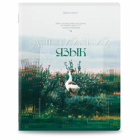 Тетради предметные, КОМПЛЕКТ 12 ПРЕДМЕТОВ, 48л, глянцевый УФ-лак, BRAUBERG, ILLUSION, 405171