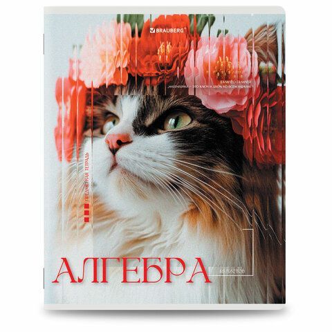 Тетради предметные, КОМПЛЕКТ 12 ПРЕДМЕТОВ, 48л, глянцевый УФ-лак, BRAUBERG, ILLUSION, 405171