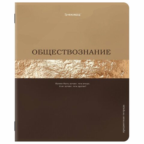 Тетради предметные, КОМПЛЕКТ 12 ПРЕДМЕТОВ, 48л, матовая ламинация, фольга, BRAUBERG, GOLDY, 405178