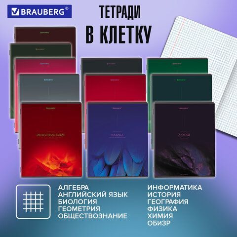Тетради предметные, КОМПЛЕКТ 13 ПРЕДМЕТОВ, 48л, SoftTouch, BRAUBERG, PEACEFUL, 405182