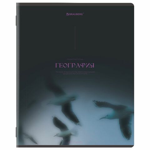 Тетради предметные, КОМПЛЕКТ 13 ПРЕДМЕТОВ, 48л, SoftTouch, BRAUBERG, PEACEFUL, 405182
