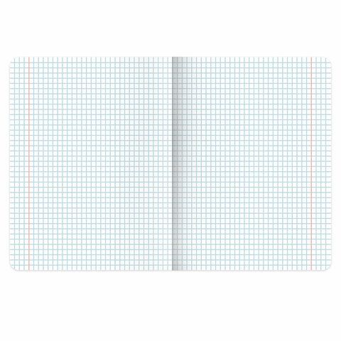 Тетради предметные, КОМПЛЕКТ 5 ПРЕДМЕТОВ, 48л, матовая ламинация, BRAUBERG, MINIMAL, 405185