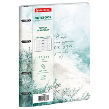 Тетрадь на кольцах А5 180х220, 120л, под кожу, фольга, резинка, BRAUBERG CLASSIC, Art of eye, 405217