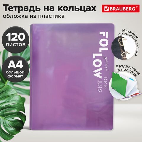 Тетрадь на кольцах БОЛЬШАЯ А4 305х235 120л, пластик, разделители, BRAUBERG, ФИОЛЕТОВЫЙ, 405256