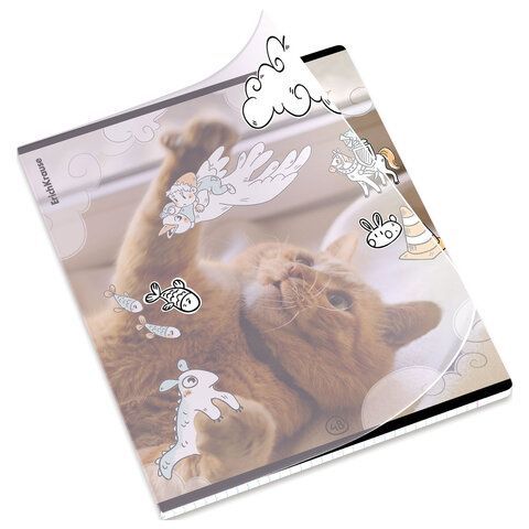 Тетрадь обложка пластик, А5 48л. скоба, клетка, ErichKrause, Dream Cat (микс в спайке, 54161