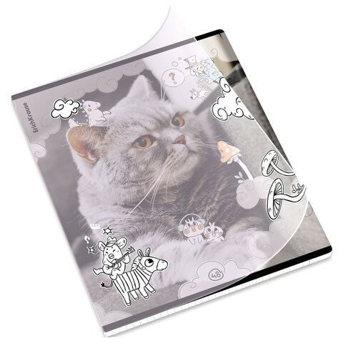 Тетрадь обложка пластик, А5 48л. скоба, клетка, ErichKrause, Dream Cat (микс в спайке, 54161